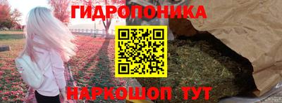 spice Новозыбков