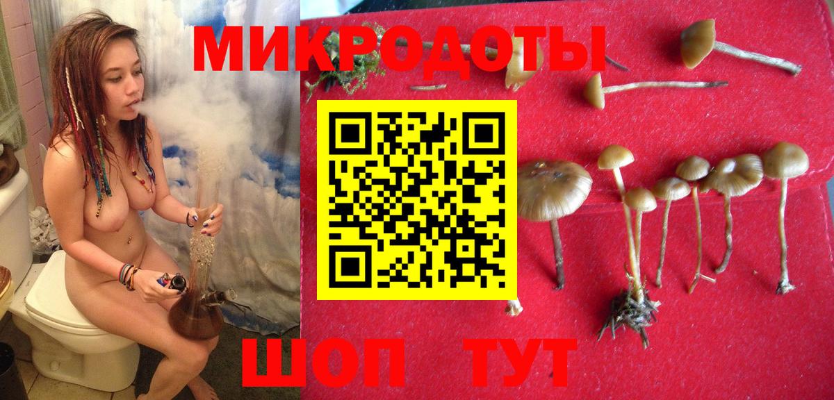 Псилоцибиновые грибы Psilocybe Электросталь